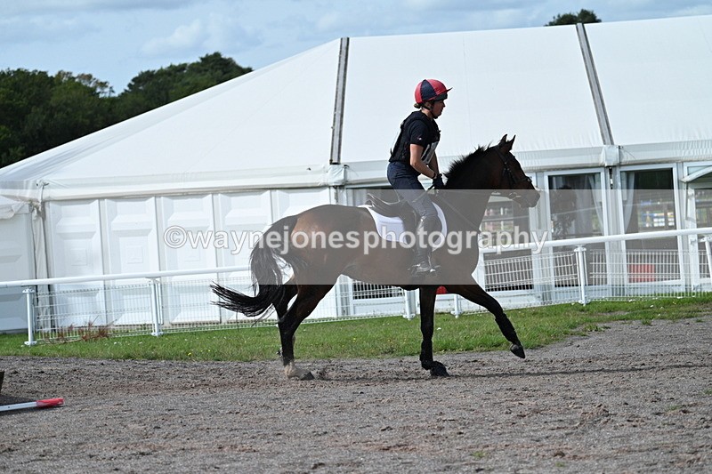 WJ7_2389 - Time 13:55 to 14:05