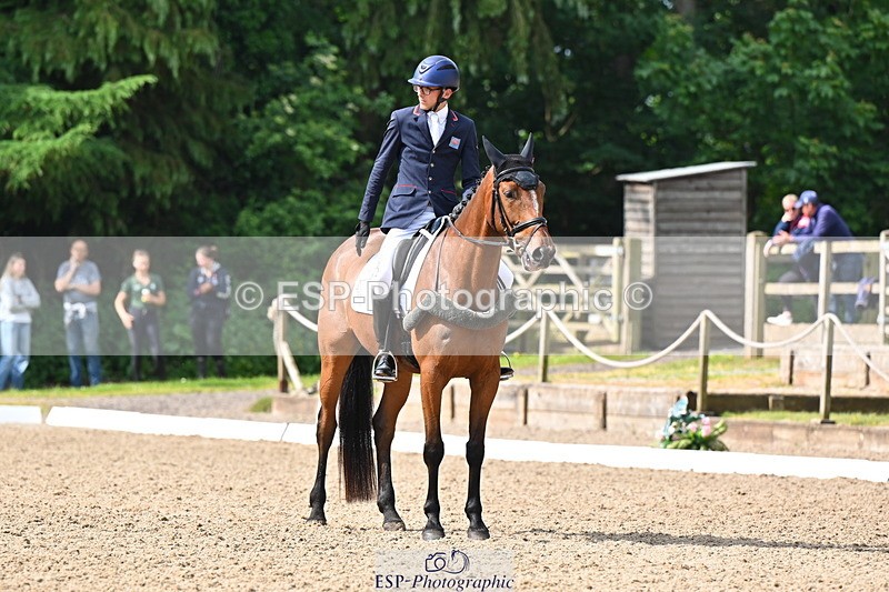 250523A-094308-05328 - C-258-Bill.Levett-ITALIAN.HARLEQUIN.NJ