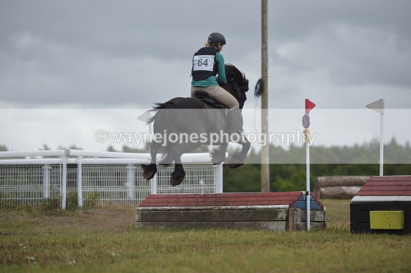 NGP_2786 - XC Time 11:37 to 11:57