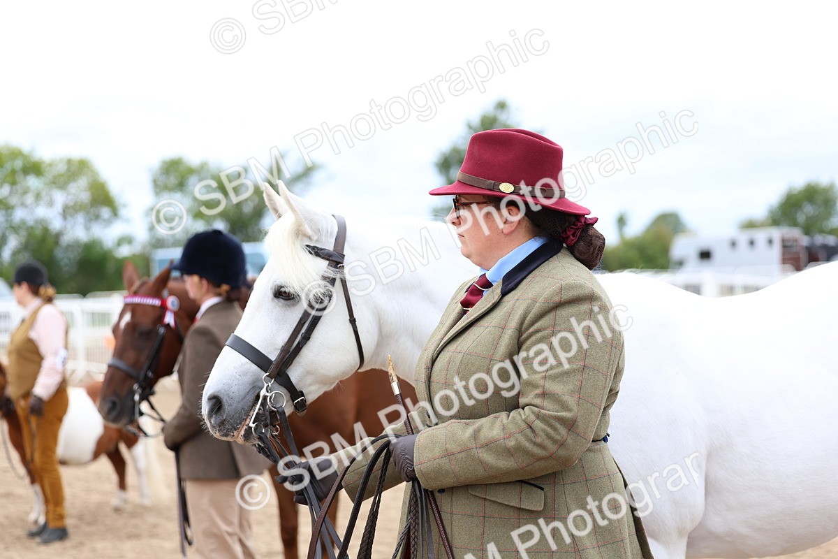 SBM_05954 - Class 29 - IH Veteran Pony