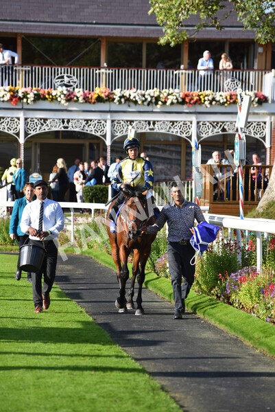 yr08102021r4-36 - Race 4 3.50pm Casumo Dare To be Different Handicap