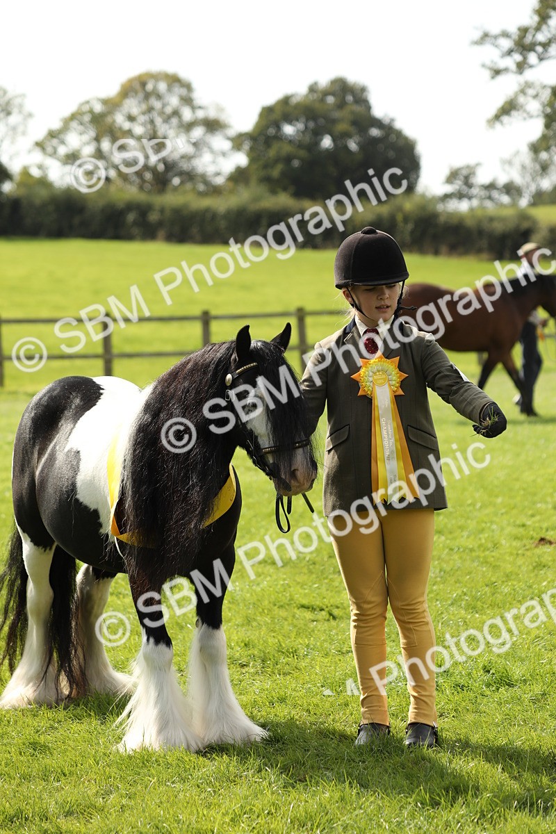 SBM_66312 - In Hand Pony & Youngstock Supreme Championship