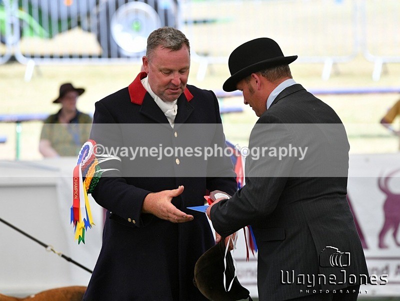 WJ5_0989 - Berks & Bucks at the Great Yorkshire Show 2025