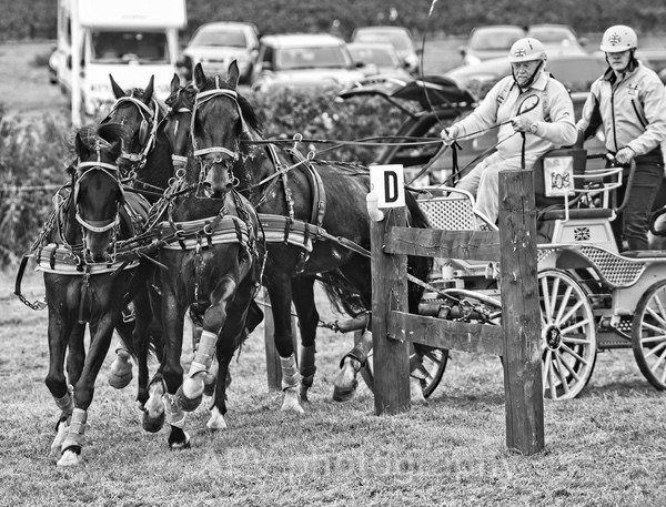 SBG_6333 - Sylv & Dougie Days Out.