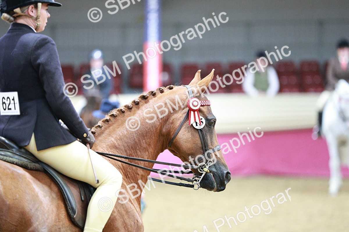 SBM_03455 - Class 6A Area Ridden Pre-Vet