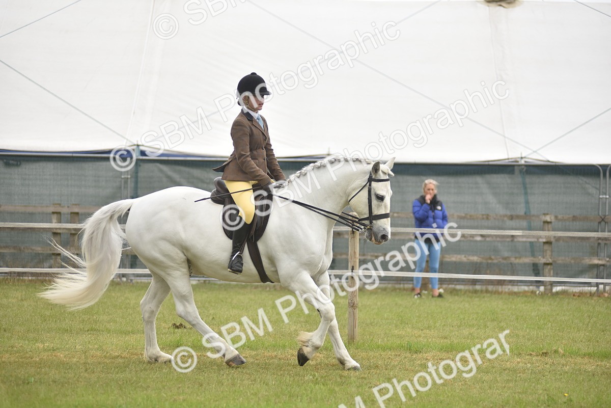 SBM_12019 - Class 110-112 - LIHS BSPS Performance Pones