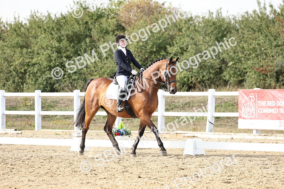 SBM_015437 - Class 9 - Advanced medium 3