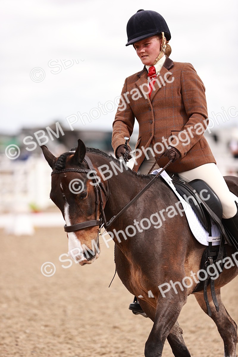 SBM_06243 - Class 37 - Novice 5