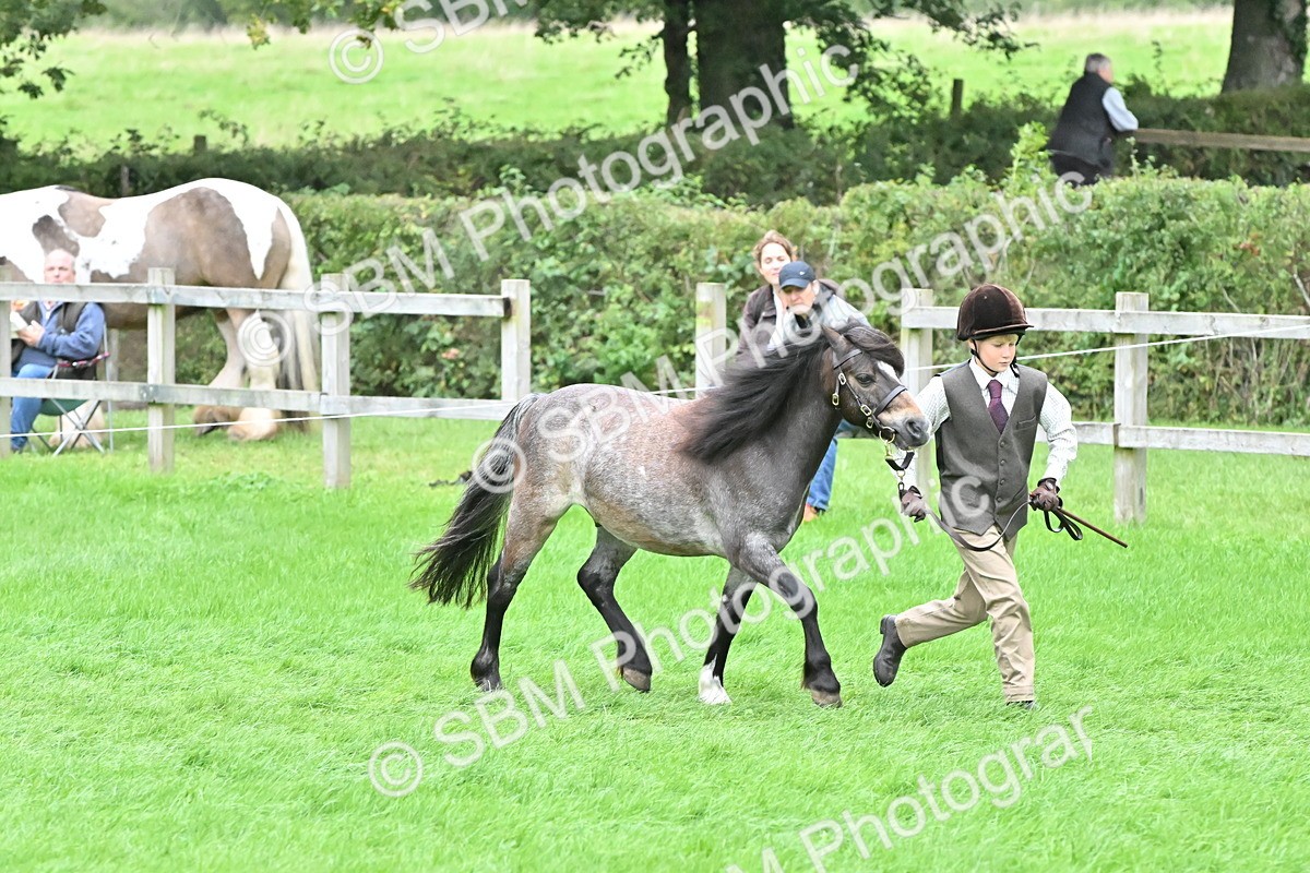 SBM_68551 - S42 - Junior Handler 9-12 Years
