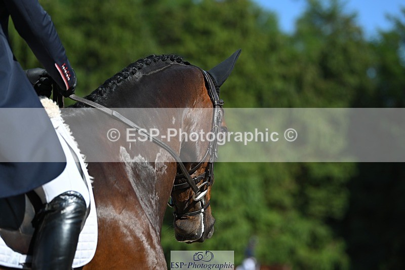 230526-162825-07387 - 257-TURBO-Isabelle_Cook-WEDTrotUp+DR