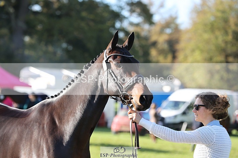 241027-095623-15591 - 553-Hanna.Bertorelli-BWTH.CLASSIC.CUT