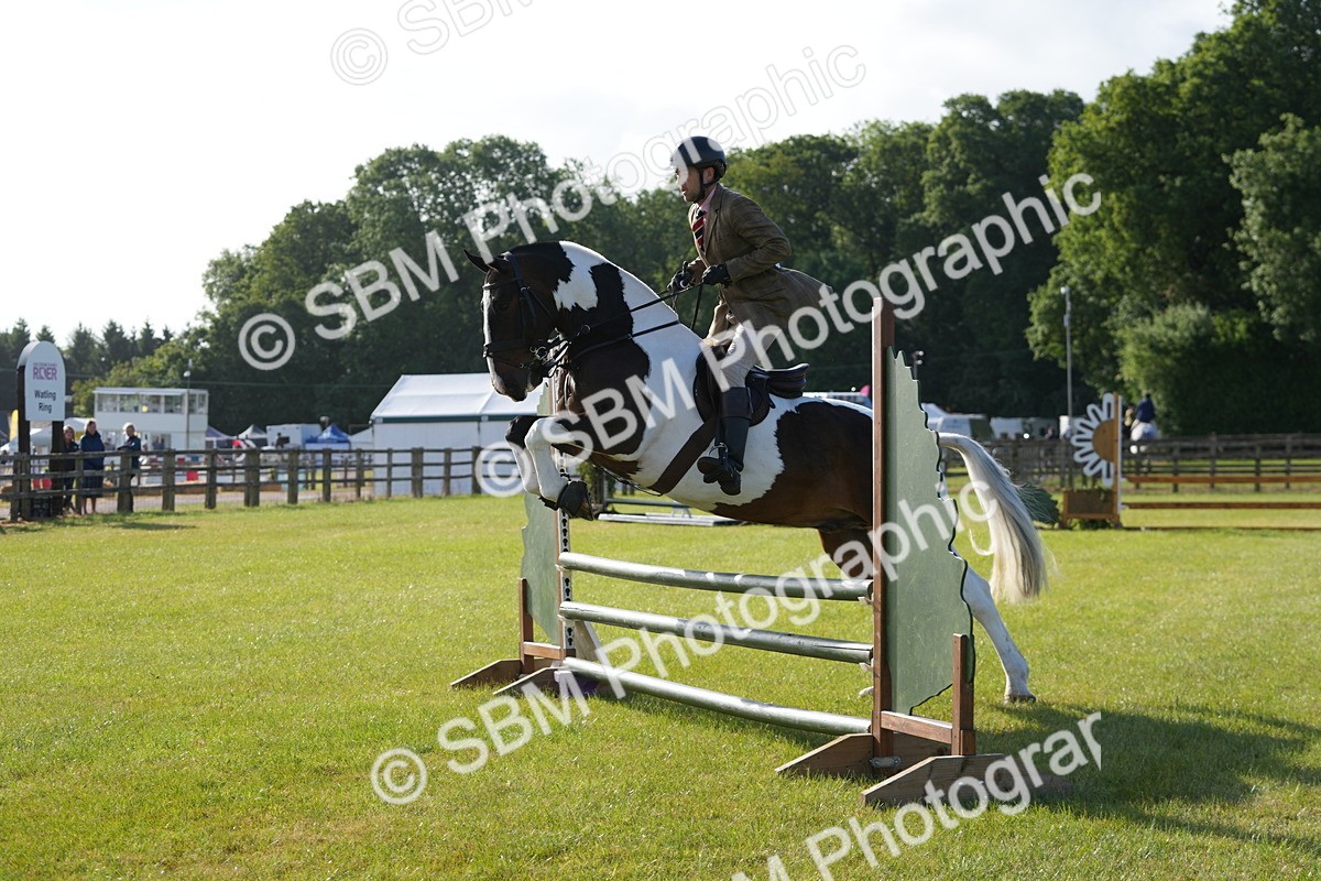SBM_10528 - Class 97-98 - LIHS BSHA Rising Star Working Show Horse Hunter