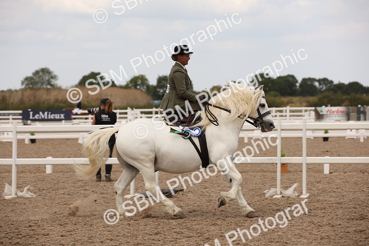 SBM_05534 - Class 22 SSA Equitation