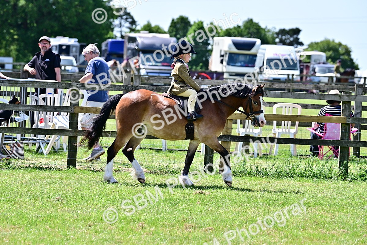 SBM_06021 - Class 59-60 - TSR M&M  Lear Rein and First Ridden Amateur of the year