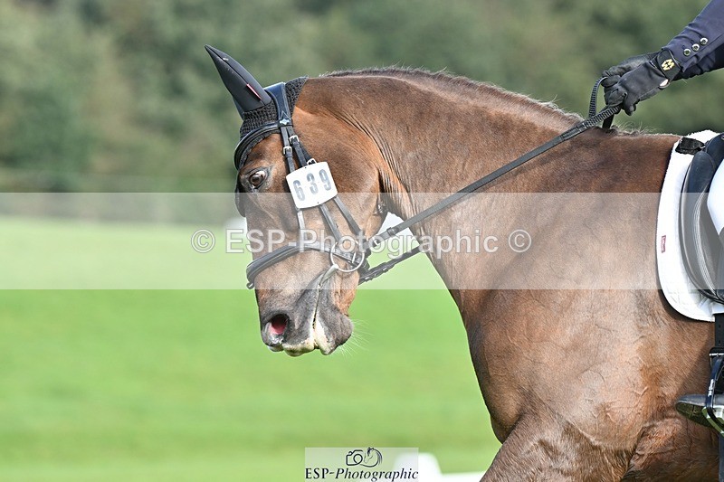 231020-103159-07644 - 639-TRAQ.TIME-Madeleine.Ellis-DR