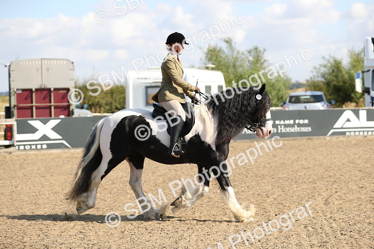 SBM_03227 - Class 44 Riding Club Horse/ Pony