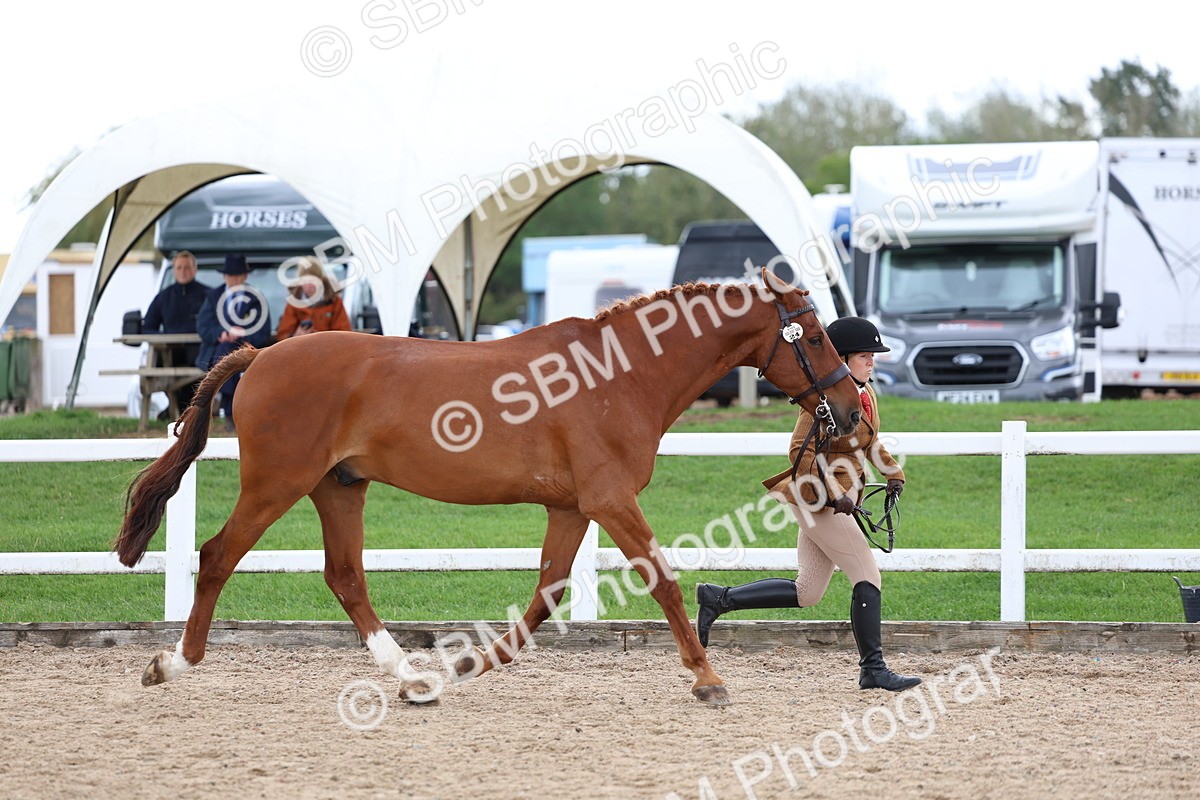 SBM_05023 - Class 27 - IH Competition Horse or Pony