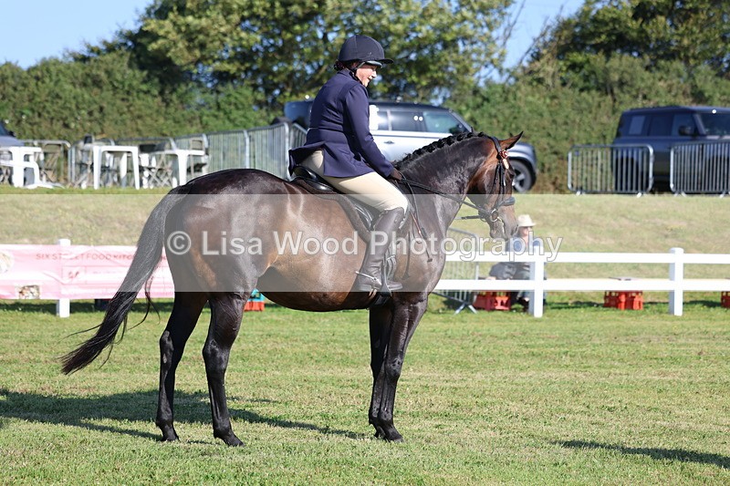 3E7A5489 - Class 2: Rising Star Large Hack/Riding Horse
