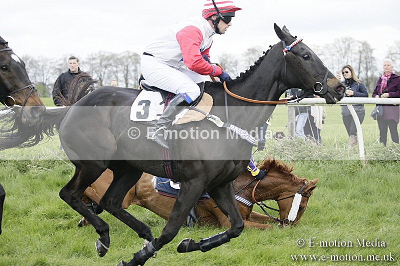 PtP 170417 39 - Old Berks Point-to-Point Lockinge 17/04/17