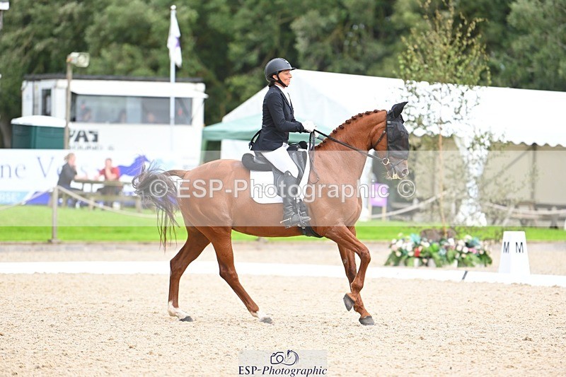 230813-143338-07789 - Cls 13 Medium Bronze 13.15 to End