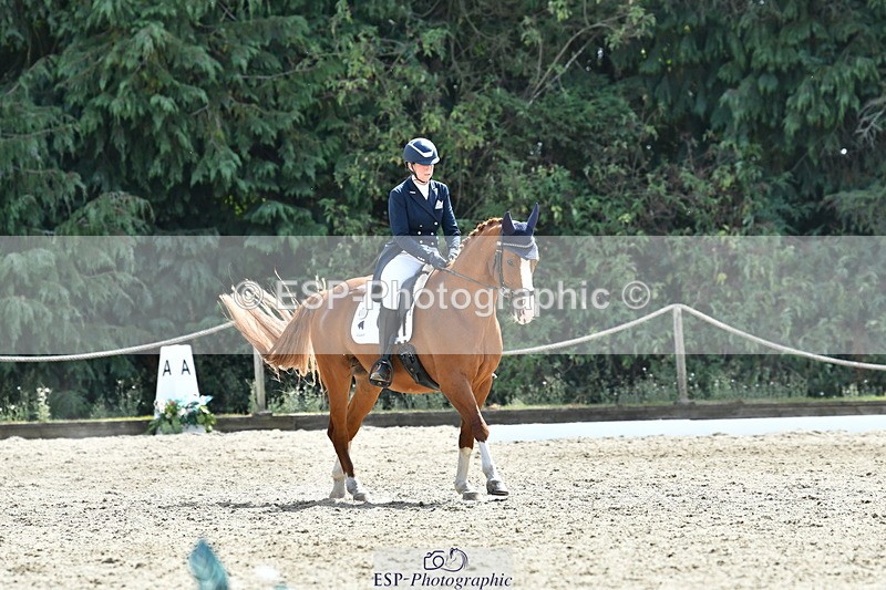 260802A-151836-07355 - Intermediate Bronze