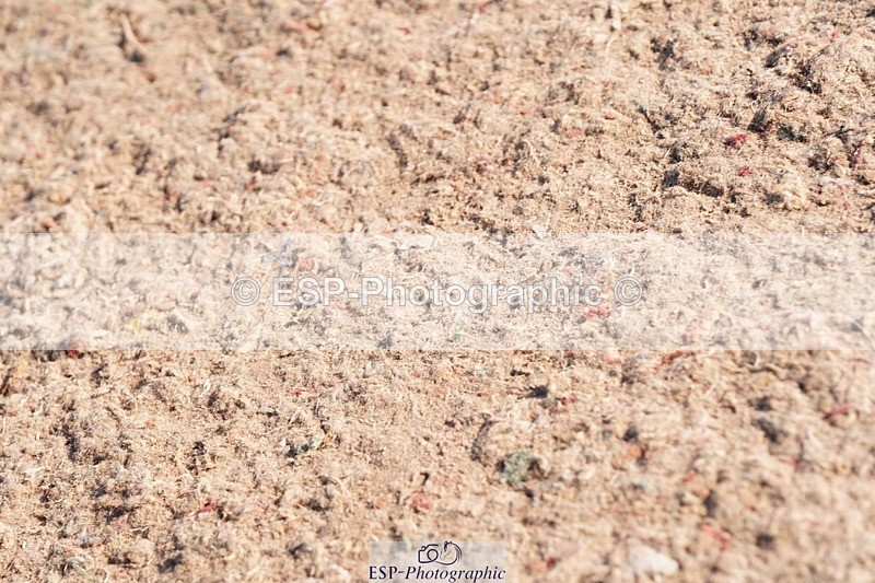 250510-082506-09520 - Cls 13 Snr Foxhunter