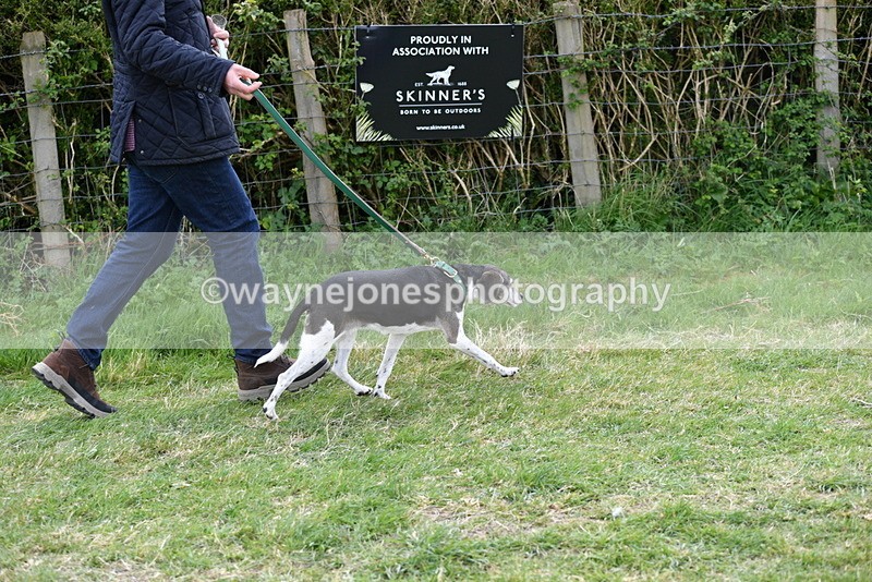 WJ5_0066 - Class 5 Best Veteran / 7 years & over