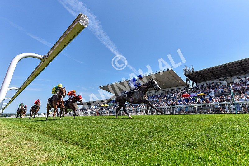 230626-Race 2-Tattie Bogle-1239 - Race 2 14.45pm Beverley Racecourse Supporting Racing Staff Week Handicap