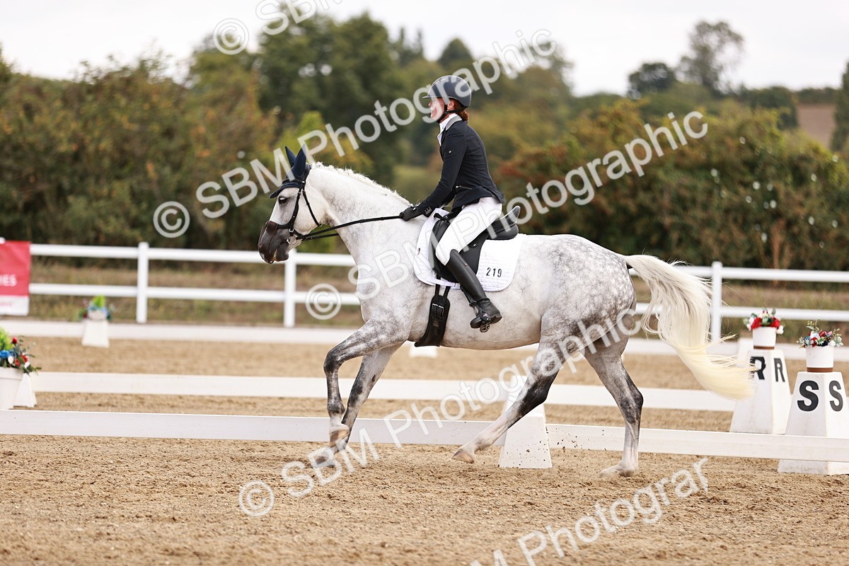 SBM_018009 - Class 15 - Prelim 6