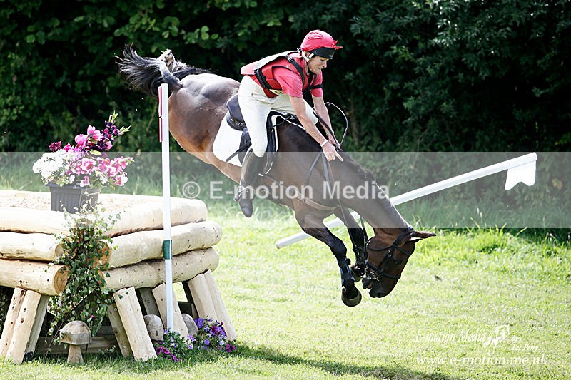 _LES4816a - Equestrian