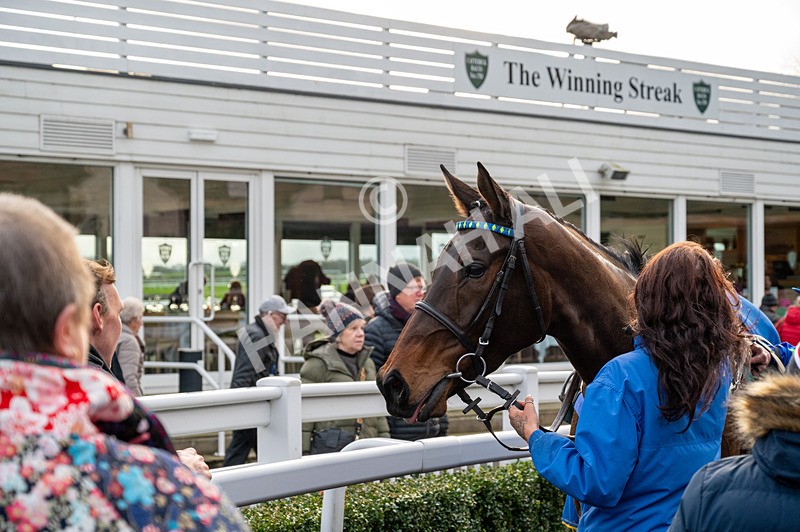 020224-Race 5-Shighness-5974 - Race 5