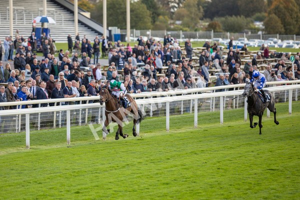 111024-Race 3-Minstrel Knight-6888 - Race 3 2.40pm William Hill Finale Handicap