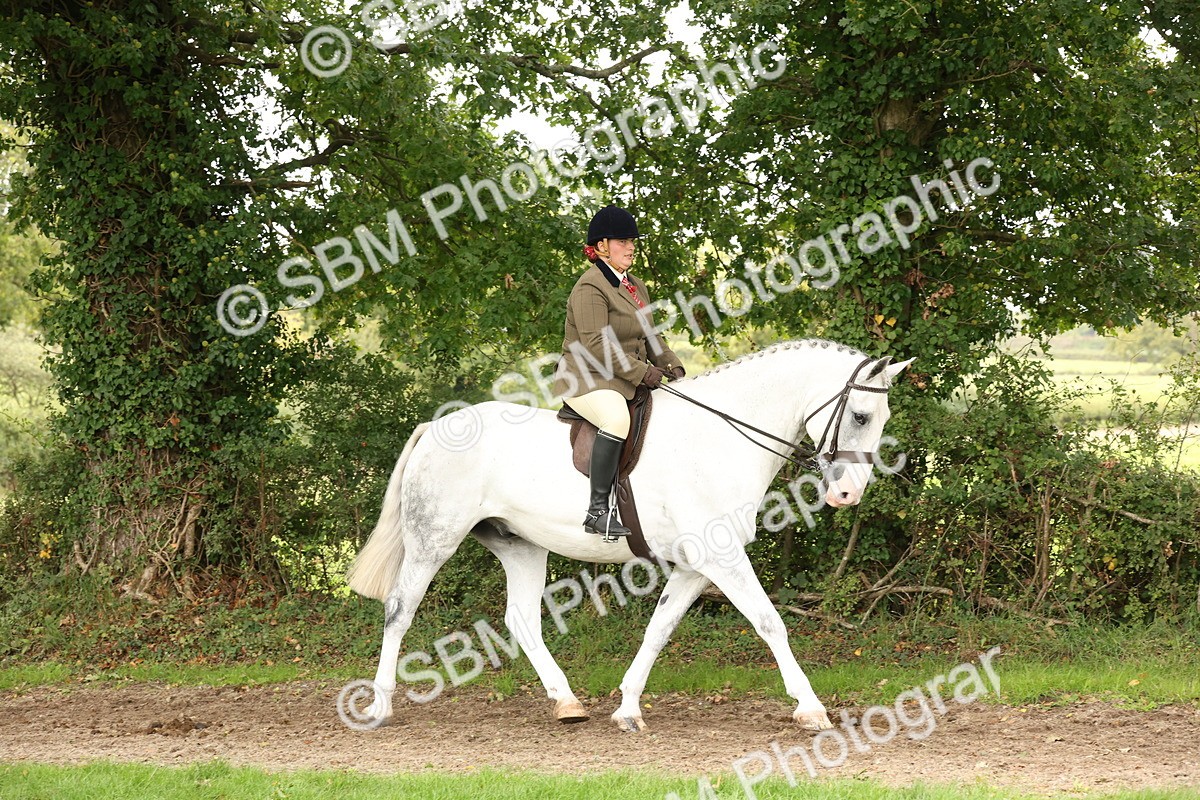 SBM_66291 - S66 - Hunter Ridden