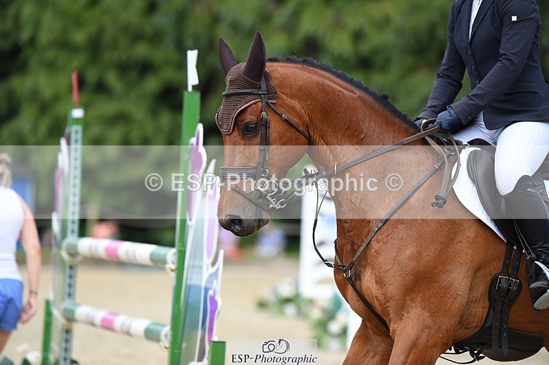 230528-154130-19158 - 177-ARGENTINO_BK-Dani_Evans-SUNTrotUp+SJ