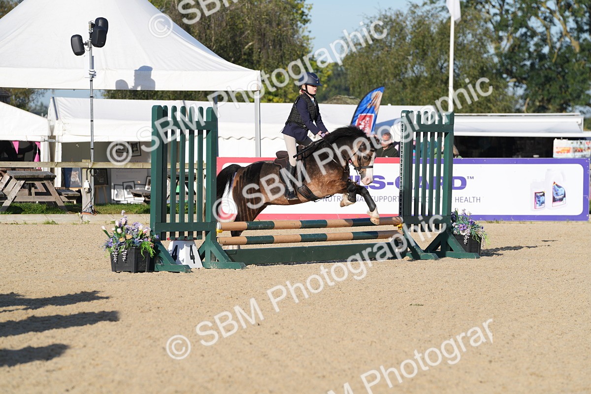 SBM_34392 - J62 - Clear Round 50cm