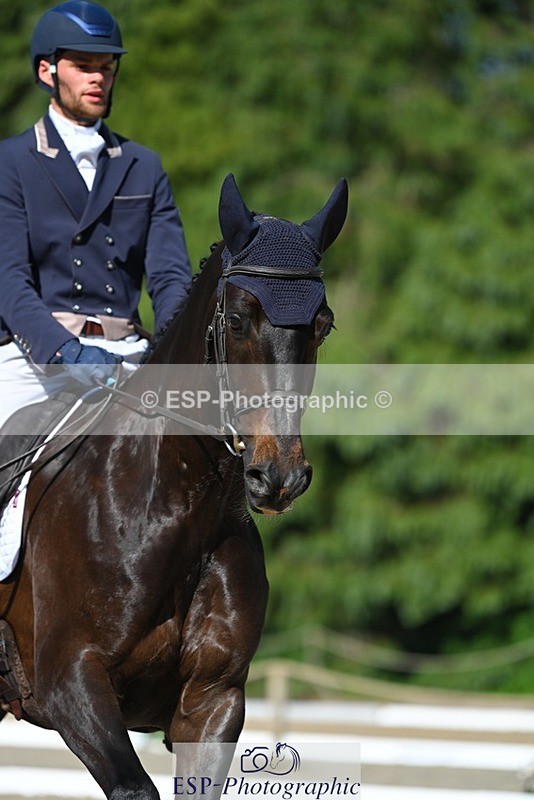 230526-165623-07451 - 258-DHI_KING_NELSON-Barnie_Brotherton-WEDTrotUp+DR