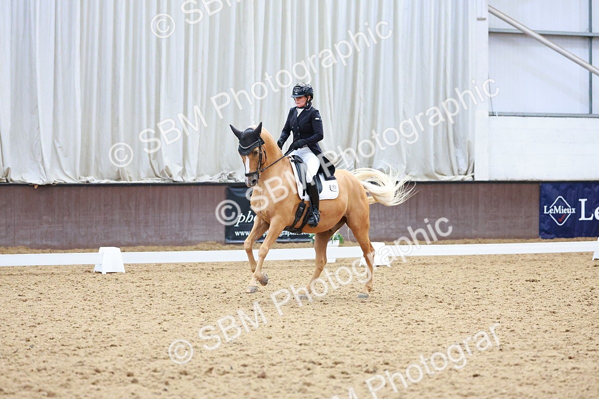 SBM_021300 - Class 25 - FEI PSG Bronze