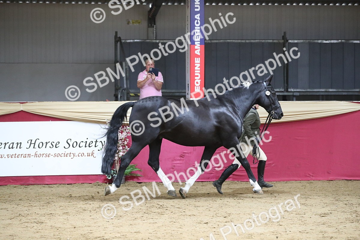SBM_06379 - Class 9R Regional- IH Pre Vet