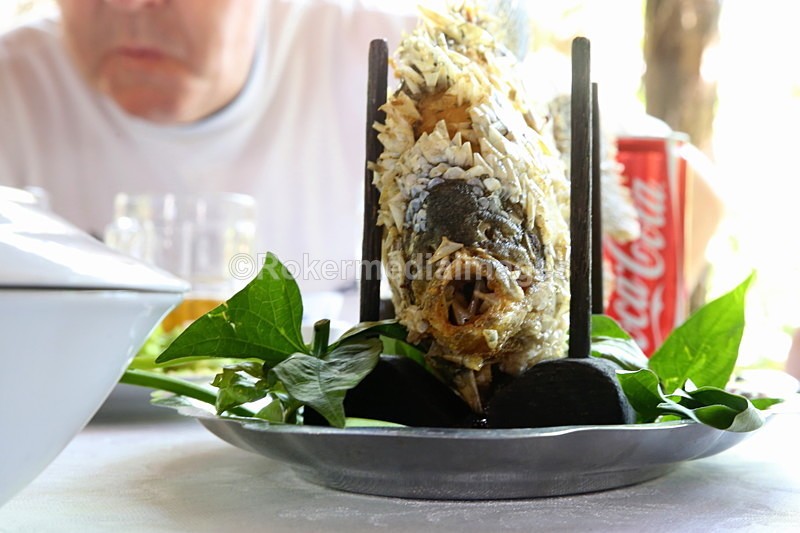 VIET_0262 - Vietnam 2017