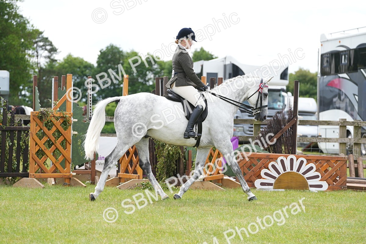SBM_16144 - Class 105-106 - RIHS Riding Horses
