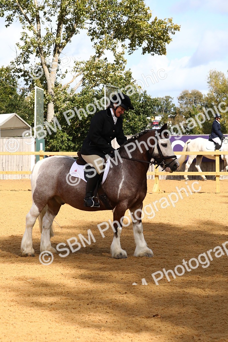 SBM_18395 - D31 - Grand Tour PYO Open .