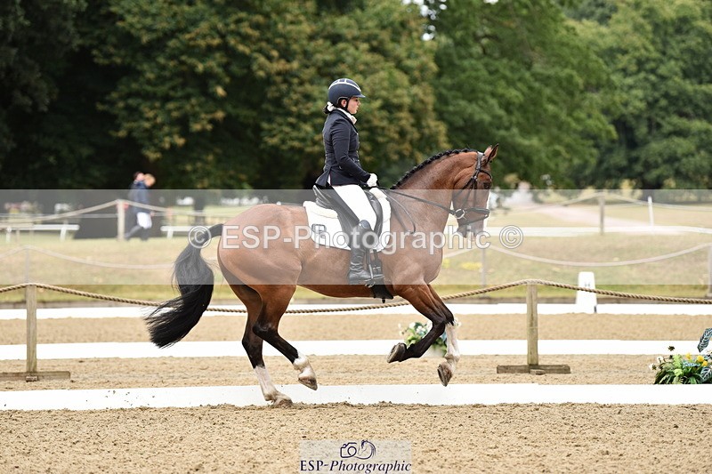 140109A-233650-08515 - 008-Bella.Balian-Beechwood.Joey