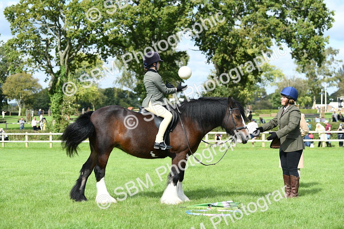 SBM_46921 - S12 - Family Horse & Pony