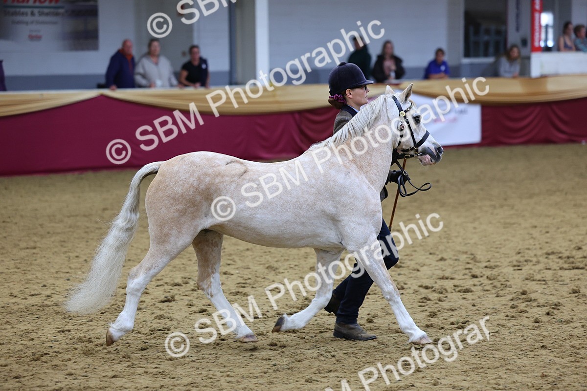 SBM_19463 - Class 901 - Supreme Final - IH Diamond