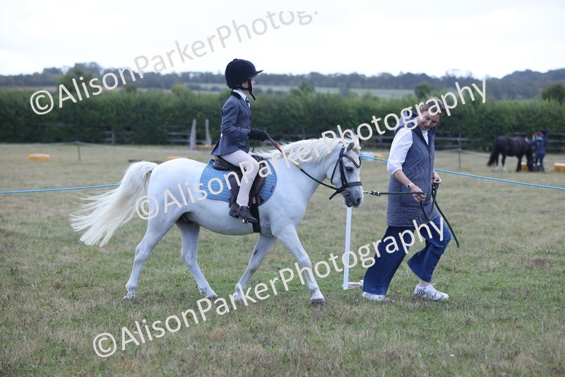 20250831-2375 - Class 16 - Family Pony