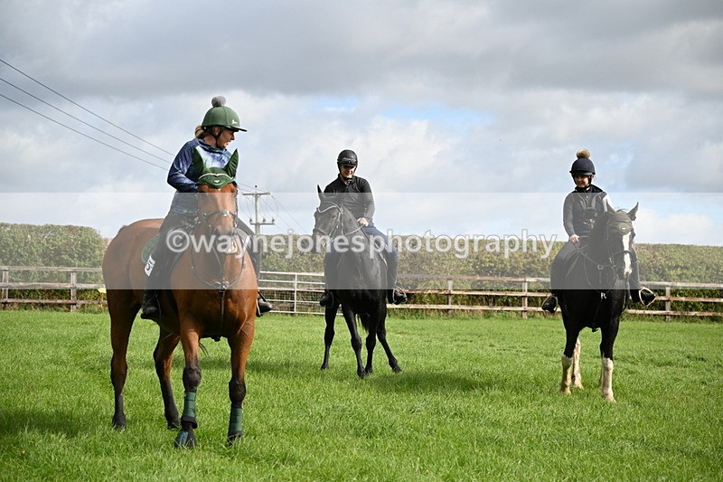 WJ6_3877 - Time 12:38 to 13:20