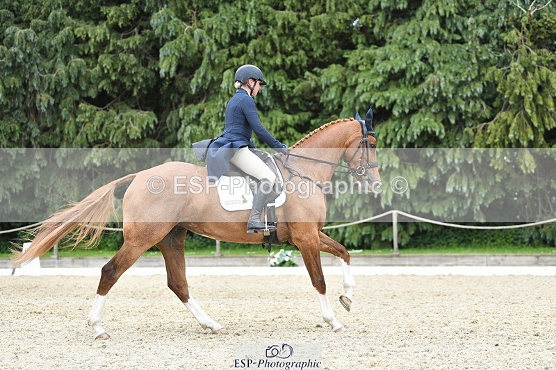 230525-152019-03226 - 308-NEFFECT_S-Kat_Raybould-WEDTrotUp+DR