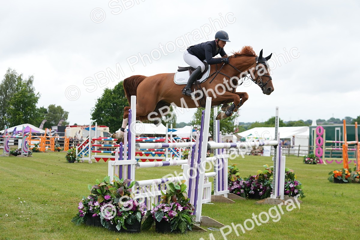 SBM_03227 - Class 201 - British Horse Feeds Speedi Beet Horse of the Year Show Grade  C