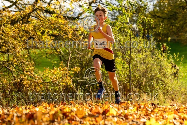 NatRel25-914609 - Young Male Set Two