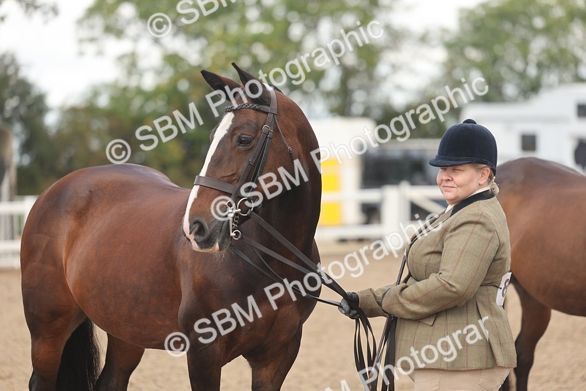 SBM_04355 - Class 17 - Prettiest Mare (IH or Ridden)